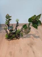 Grote neptak met groen voor aquarium, Dieren en Toebehoren, Ophalen of Verzenden, Gebruikt, Sierelement