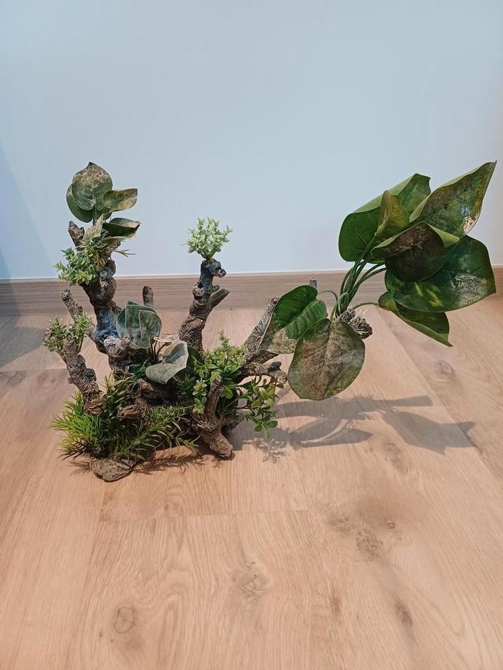 Grote neptak met groen voor aquarium, Dieren en Toebehoren, Vissen | Aquaria en Toebehoren, Gebruikt, Sierelement, Ophalen of Verzenden