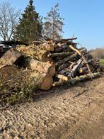 Brandhout gemengd, 6 m³ ou plus, Enlèvement, Autres essences de bois, Troncs d'arbres