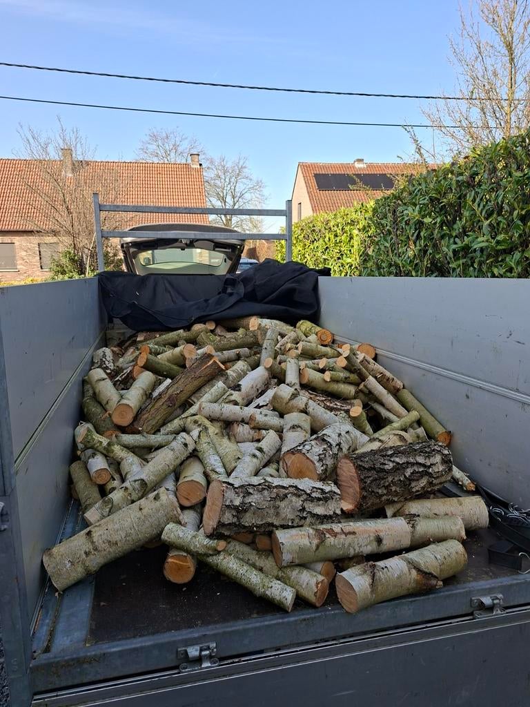Brandhout 2 kuub vooral witte berk nog te drogen., Tuin en Terras, Brandhout, Ophalen