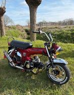 Lowrider de Classe A., Vélos & Vélomoteurs, Enlèvement ou Envoi