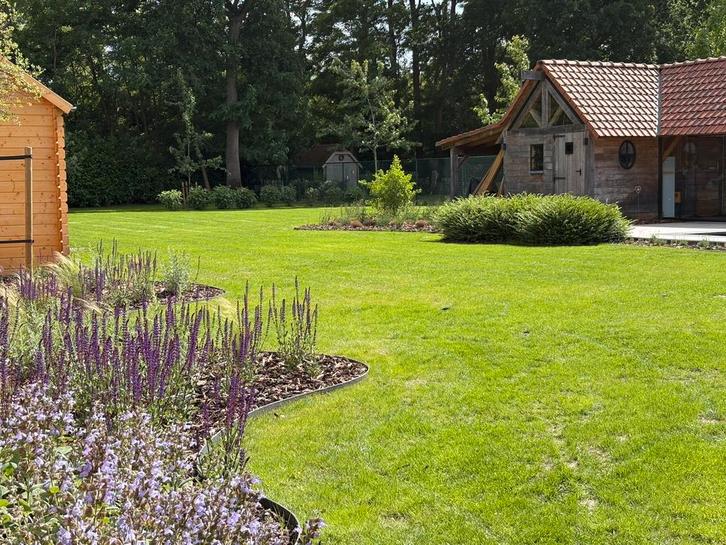 Alle tuinwerken (tuinaanleg en tuinonderhoud en zwemvijvers), Services & Professionnels, Jardiniers & Paveurs, Trottoir, Grillage ou Palissade