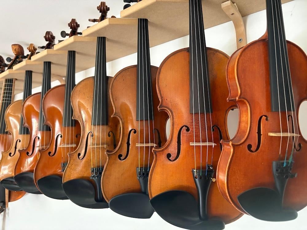 viool 4/4, Muziek en Instrumenten, Strijkinstrumenten | Violen en Altviolen, Zo goed als nieuw, Viool, 4/4-viool, Ophalen of Verzenden