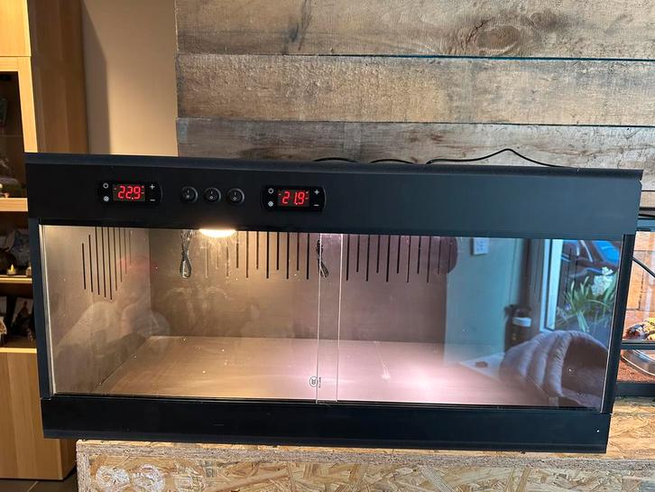 Nieuw terrarium te koop – 80x40x40 cm, Dieren en Toebehoren, Reptielen en Amfibieën | Toebehoren, Nieuw, Ophalen