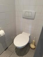 Toilet, Doe-het-zelf en Bouw, Sanitair, Ophalen, Gebruikt, Toilet