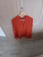 GILET MARIE-MERO M40, Kleding | Dames, Blouses en Tunieken, Ophalen of Verzenden, Nieuw