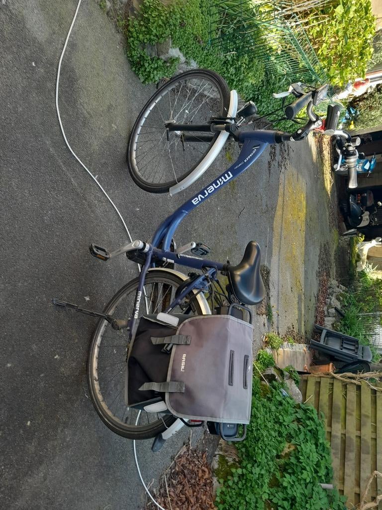 Elek fiets minerva, Enlèvement