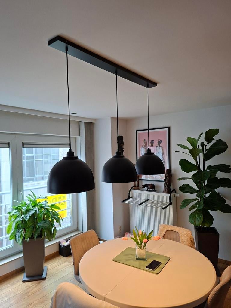 Lampe suspendue 3 lumières, Enlèvement