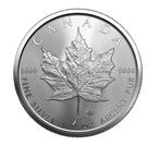 Maple Leaf  1 troy ounce, Postzegels en Munten, Ophalen of Verzenden, Zilver