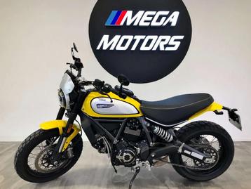 Ducati Scrambler İCON CUSTOM ! 2400KM ! GARANTiE DUCATi 07/ beschikbaar voor biedingen