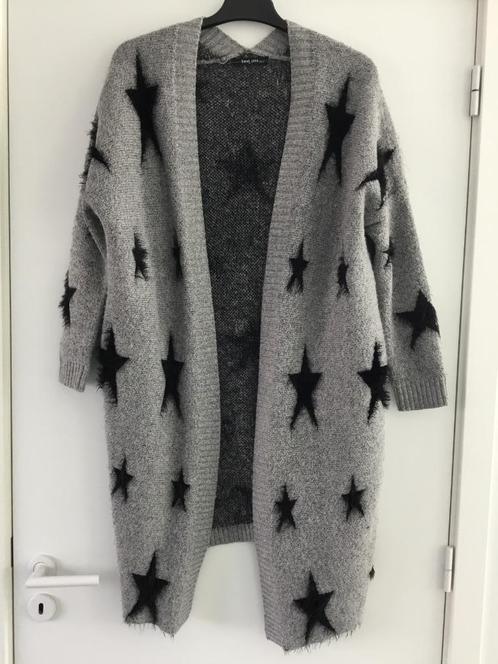 Lange grijze gilet met zwarte fluffy sterren Sarah John TU, Kleding | Dames, Truien en Vesten, Gedragen, Grijs, Ophalen of Verzenden