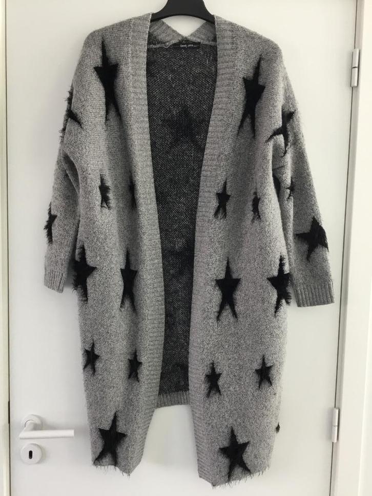 Lange grijze gilet met zwarte fluffy sterren Sarah John TU, Kleding | Dames, Truien en Vesten, Gedragen, Grijs, Ophalen of Verzenden