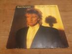Rod Stewart, Cd's en Dvd's, Vinyl | Pop, Gebruikt, Ophalen of Verzenden