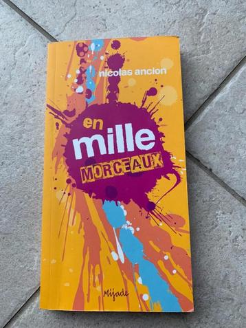 Livre en mille morceaux de Nicolas Ancion - livre pour le se beschikbaar voor biedingen