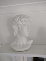 Michelangelo's David hoofd in keramiek, Enlèvement