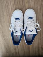 Nike basketbal, Sport en Fitness, Basketbal, Ophalen, Zo goed als nieuw, Schoenen