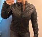 Lederen Motorjas DXR - Dames, Motoren, Ophalen, Jas | leer, DXR, Dames