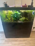 Aquarium met toebehooren, Ophalen, Gebruikt