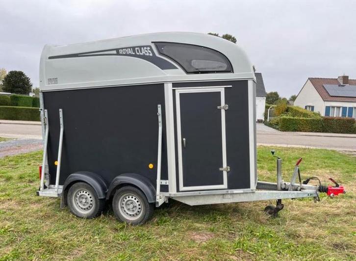 Te huur 1,5 paardstrailer rijbewijs b dag of weekend, Animaux & Accessoires, Chevaux & Poneys | Semi-remorques & Remorques, Comme neuf