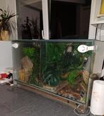 Terrarium 80x60x50, Dieren en Toebehoren, Reptielen en Amfibieën | Toebehoren, Ophalen, Zo goed als nieuw