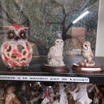 Enkele uilen, Enlèvement