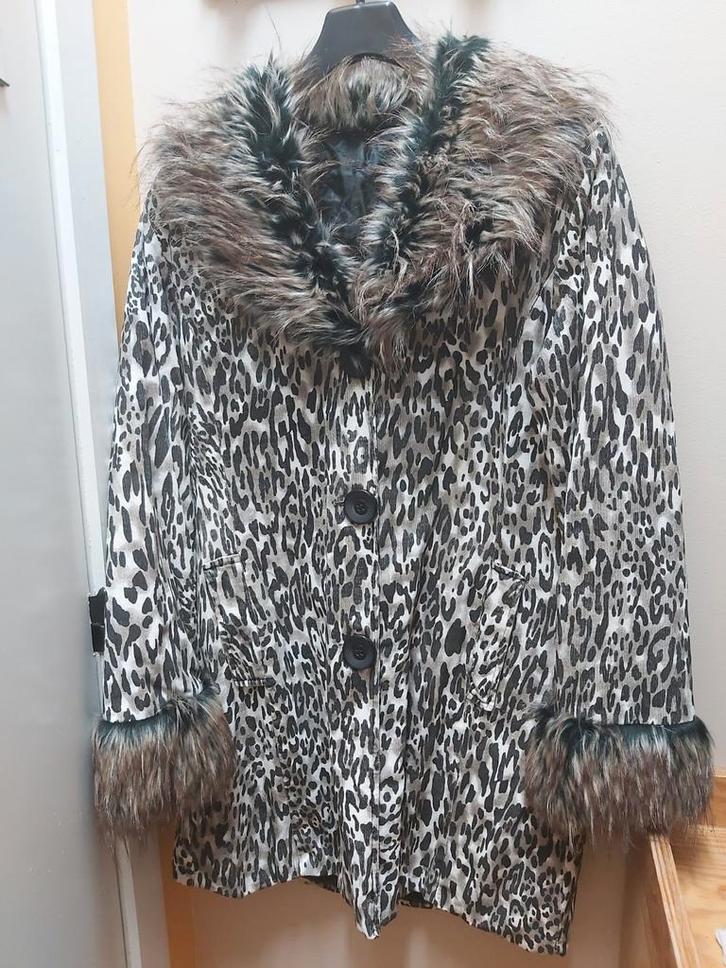 Manteau femme, Kleding | Dames, Jassen | Winter, Zo goed als nieuw, Ophalen