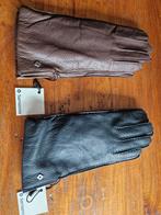 Nieuw uit oude stock dames handschoenen Samsonite, Vêtements | Femmes, Bonnets, Écharpes & Gants, Enlèvement ou Envoi, Neuf, Taille 34 (XS) ou plus petite