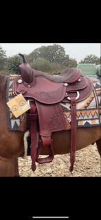 Nieuwe west coast, Dieren en Toebehoren, Ophalen of Verzenden, Zo goed als nieuw