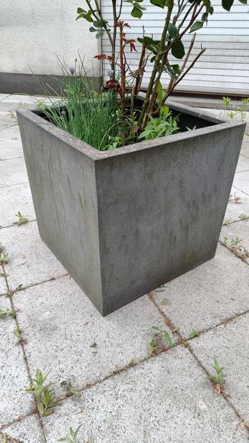 Diverse grote bloempotten in plastiek of beton vanaf 15 euro beschikbaar voor biedingen