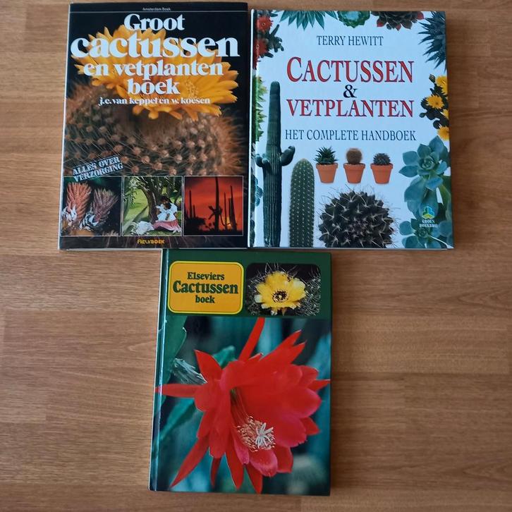 MOOIE CACTUSSENBOEKEN, Livres, Nature, Enlèvement ou Envoi