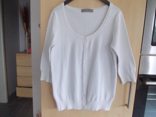Gilets Zara 1x, Feu Vert 2x, JBC 2x.  maat XL., Kleding | Dames, Truien en Vesten, Zo goed als nieuw, Maat 46/48 (XL) of groter