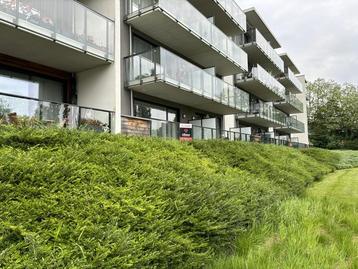 Appartement à louer à Mons, 1 chambre disponible aux enchères