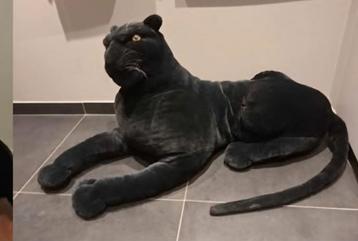 Schitterende zwarte panter, pluche,nieuw ,xxl beschikbaar voor biedingen