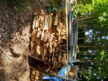Gekliefd haardhout, Tuin en Terras, Brandhout, Minder dan 3 m³, Ophalen, Overige houtsoorten, Blokken