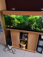 Aquarium 180 l, Dieren en Toebehoren, Ophalen, Gebruikt, Gevuld zoetwateraquarium