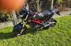 Ils vont 125cc benelli, Motoren, Particulier, 125 cc, 11 kW of minder, 1 cilinder