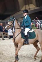 leuke D-pony met ervaring te koop, Dieren en Toebehoren, Pony's, Merrie, Niet van toepassing, Springpony, 11 jaar of ouder