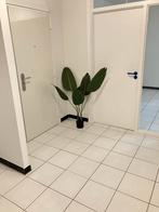 Strelitzia kunstplant hoogte 125 cm met 6 grote bladeren, Huis en Inrichting, Woonaccessoires | Kunstplanten en Kunstbloemen, Ophalen of Verzenden