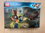 Harry Potter Lego Aragog’s nest, Verzamelen, Ophalen of Verzenden, Zo goed als nieuw, Overige typen