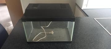 aquariums beschikbaar voor biedingen