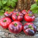 Mar Azul - Graines de tomates, Envoi