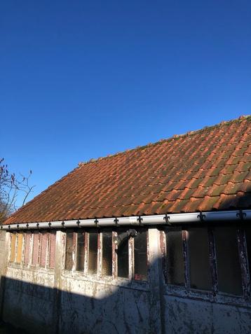 originele Pottelberg dakpannen (Courtrai – Made in Belgium) beschikbaar voor biedingen