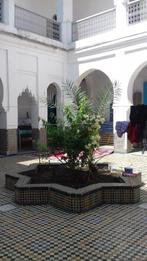 Riad maroc, Hors Europe, 8 pièces, Ville, Maison d'habitation
