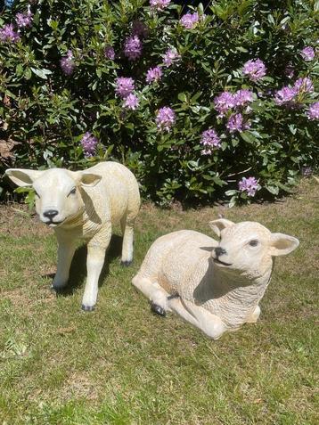 (Tuin)Beeld texel schaap lammetje, tuin, boerderij 55 cm beschikbaar voor biedingen