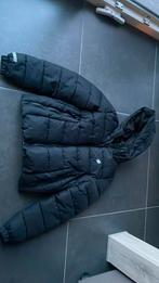 Jas Superdry, Kleding | Dames, Jassen | Winter, Ophalen, Zo goed als nieuw