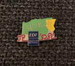 PIN - EDF - ELECTRICITE DE FRANCE, Envoi, Utilisé, Autres sujets/thèmes, Insigne ou Pin's