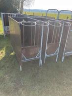 4 kalverbakken te koop, Dieren en Toebehoren, Runderen