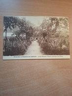 Linkebeek pépinière Robinson + Panorama, Enlèvement ou Envoi, Non affranchie