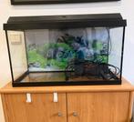 Juwel aquarium 60L, Dieren en Toebehoren, Vissen | Aquaria en Toebehoren, Ophalen, Gebruikt, Leeg aquarium