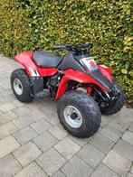 Zeer mooie en goede, betrouwbare Suzuki Lt80 quad.